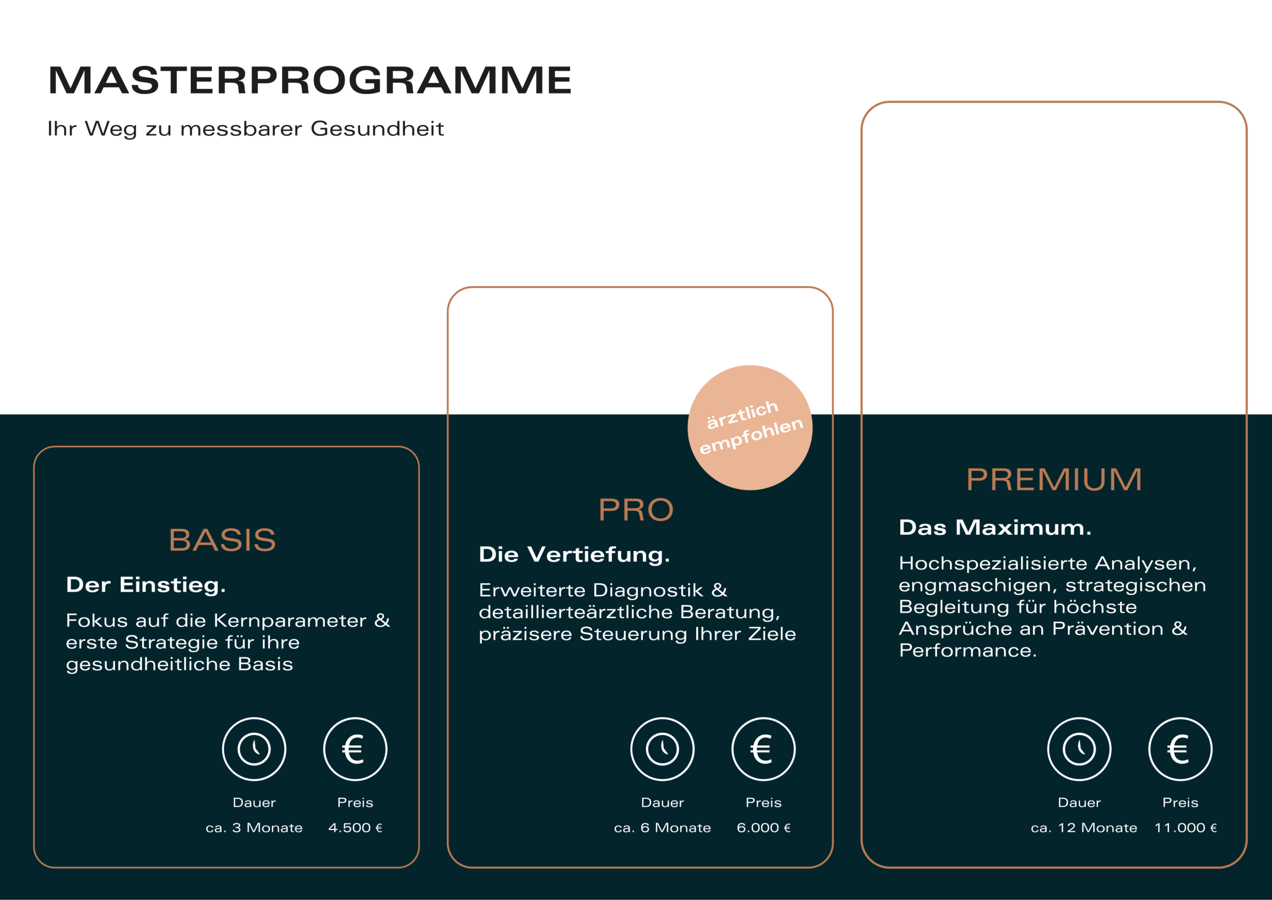 Masterprogramme